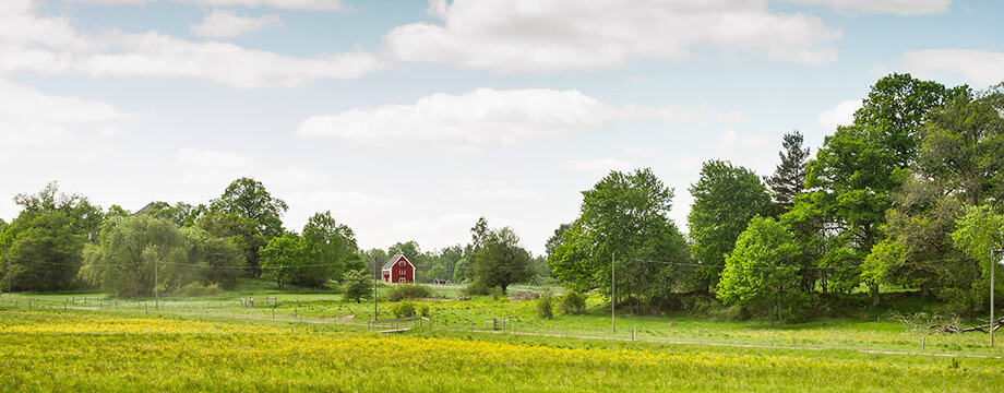 sommar-hus 920x360